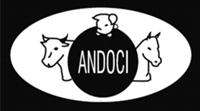 Andoci