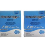 Peniestrep Flunixin
