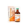 Energizante Vitamínico Ale-bet