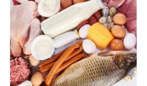 América Latina es el segundo productor de carne en el mundo