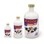 Exgon 10
