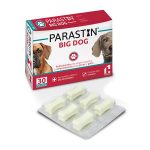 Parastin Big Dog