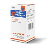 Fiebre Carbonosa